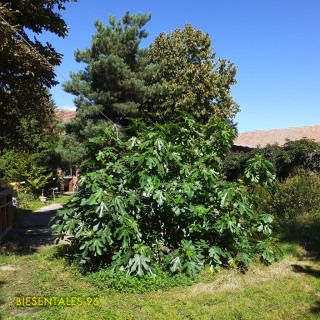 photo/2b87976f-cd0c-4bbb-854d-4c605935140d-3