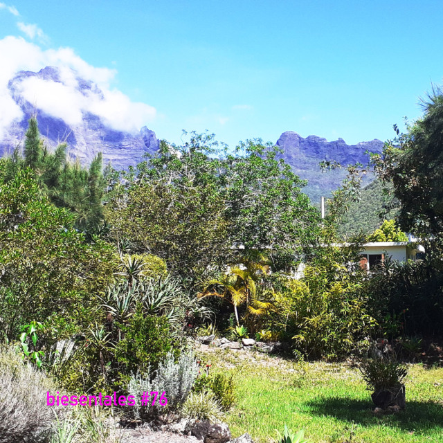 Tropical mountain garden, mountains in clouds, blue sky in between.