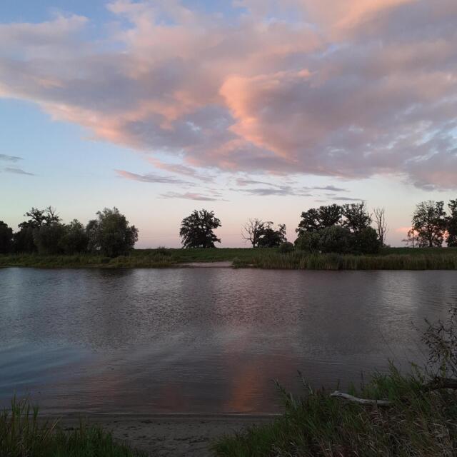 Kuhlhausen, river Havel, sunset. Water mirroring copper & grey clouds. Cane and trees on other river side appear almost like paper cutouts.