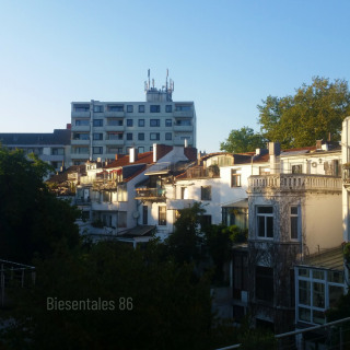 photo/cae38b78-9752-4ef3-be2c-c2fd7e0c77eb-3