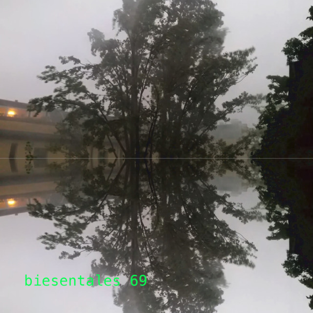 biesentales 69 cover - a mirrored poplar tree bending in a surprise storm Berlin summer 23.