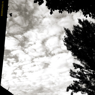 photo/ec6e85ed-3d65-4b72-93b8-83c09140fb7c-3